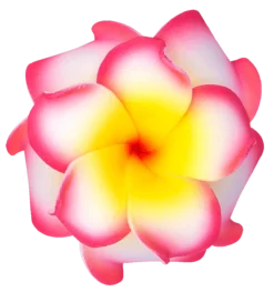 Small Double Plumeria Clip: Pink