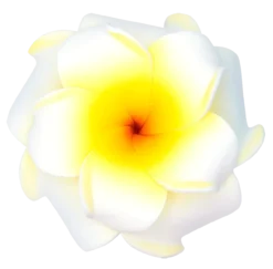 Small Double Plumeria Clip: White