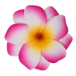 Medium Double Plumeria Clip: Pink