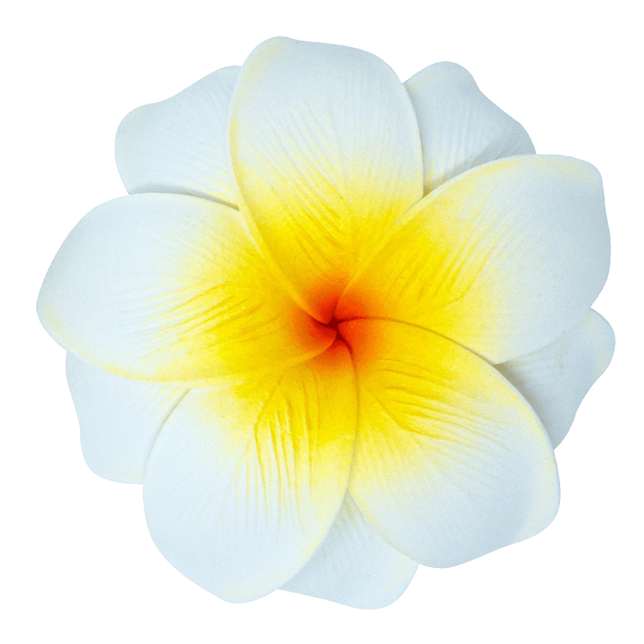Medium Double Plumeria Clip: White 1 Medium Double Plumeria Clip: White