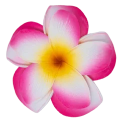 Large Double Plumeria Clip: Pink
