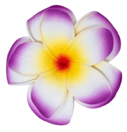 Large Double Plumeria Clip: Purple