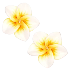 Medium Plumeria Stud Earrings: White